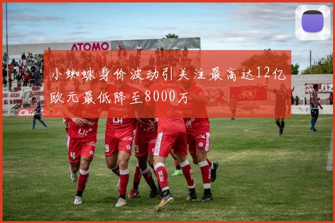 小蜘蛛身价波动引关注最高达12亿欧元最低降至8000万
